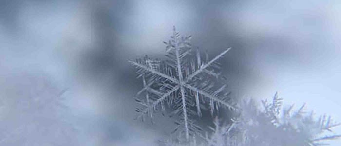 snow picture ideas