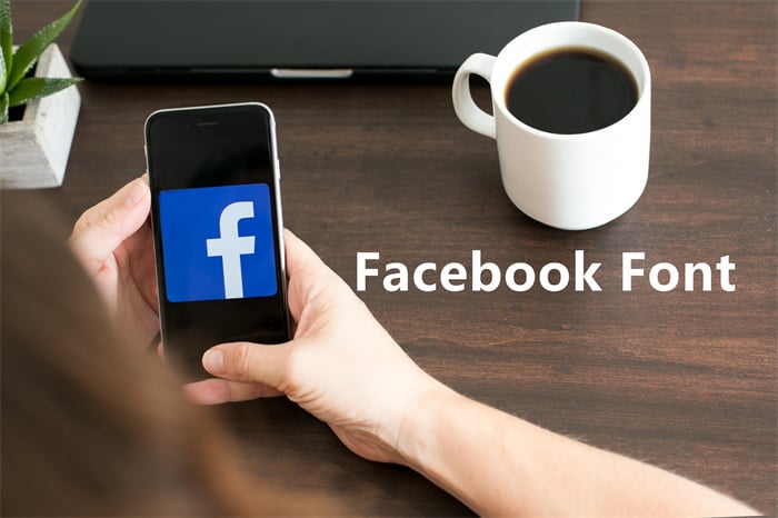 VanceAI-Facebook font