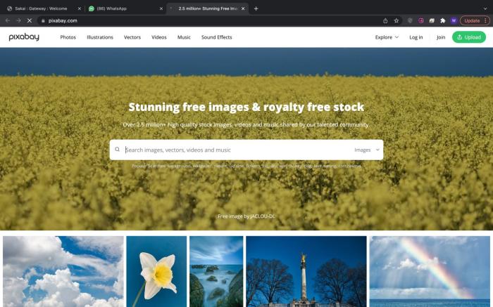 Pixabay for interactive post
