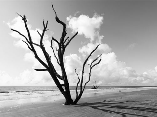 Tonal contrast