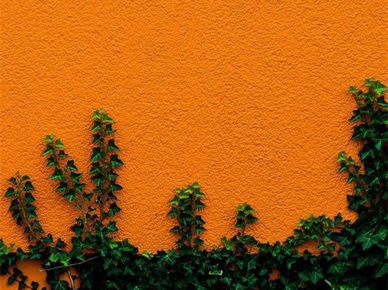 color contrast