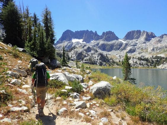 explore the wild