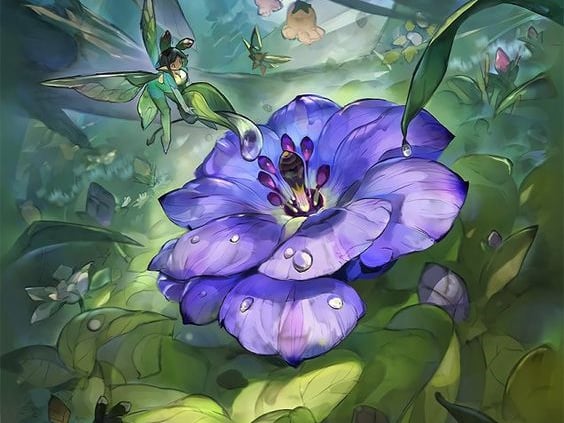 flower illustration