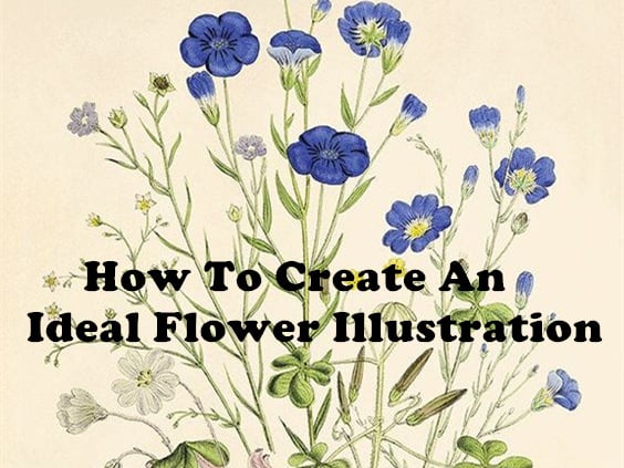 How To Create An Ideal Flower Illustration?