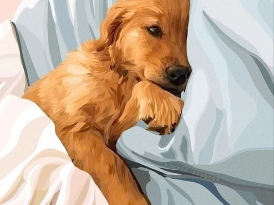 sketch a dog