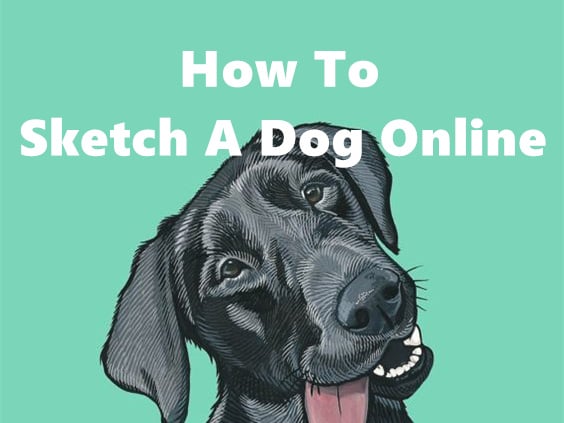 How To Sketch A Dog Online