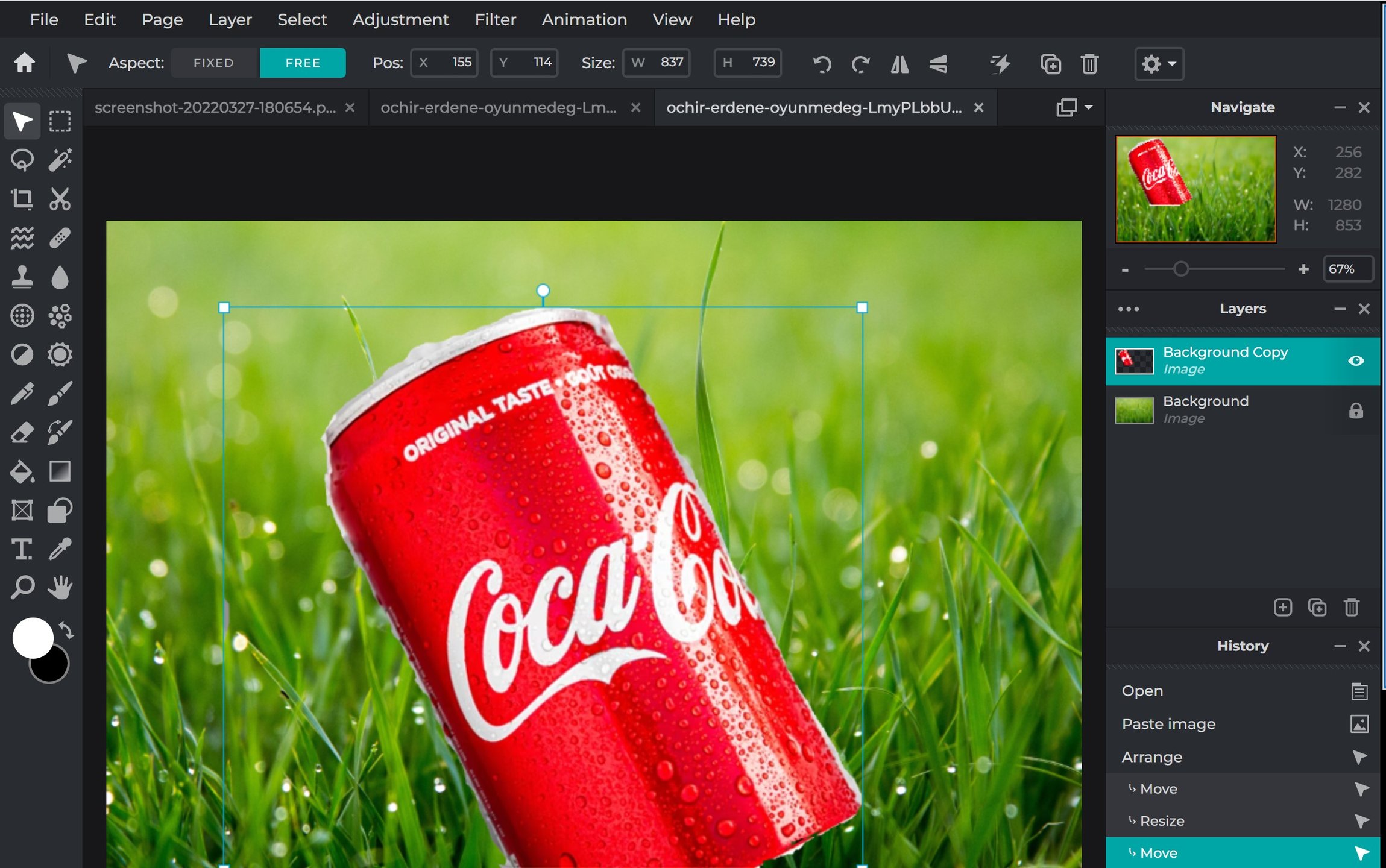 how to use pixlr background remover editor step5