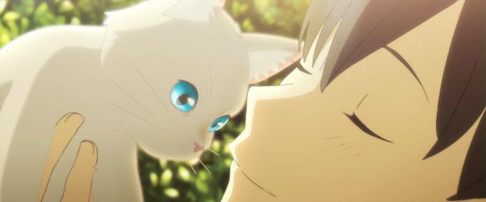 A Whisker Away