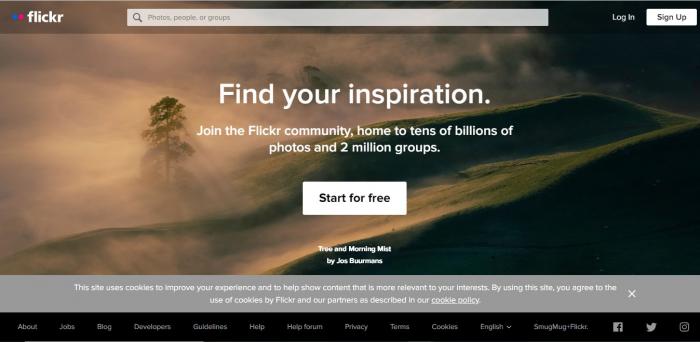 Flickr
