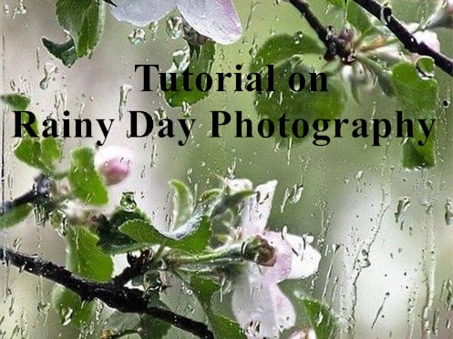 Tutorial On Rainy Day Photography
