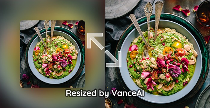 VanceAI Image Resizer