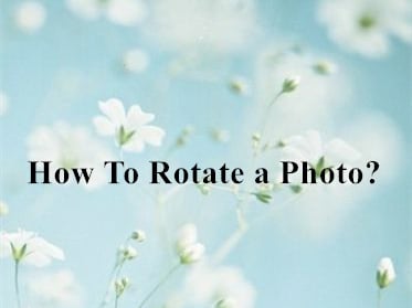 How To Rotate a Photo With VanceAI Image Rotator?