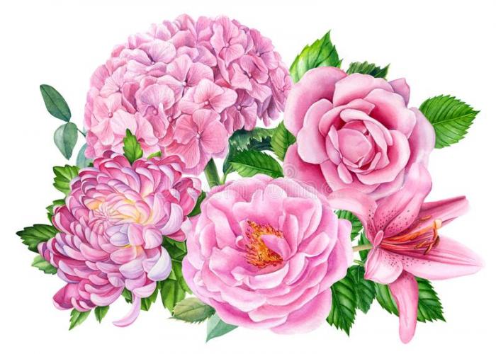 Victorian Chrysanthemum Stock Illustrations – 248 Victorian Chrysanthemum Stock Illustrations, Vectors & Clipart - Dreamstime