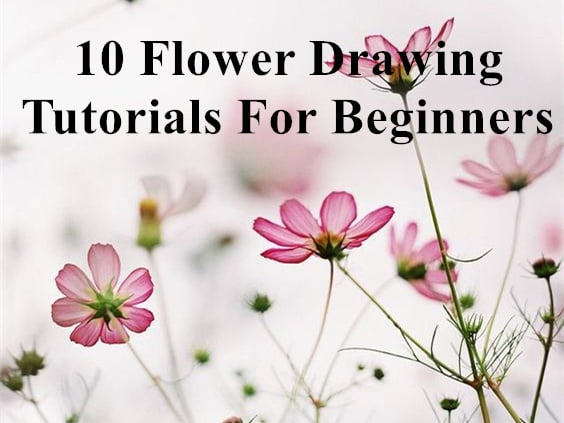 10 Flower Drawing Tutorials For Beginners