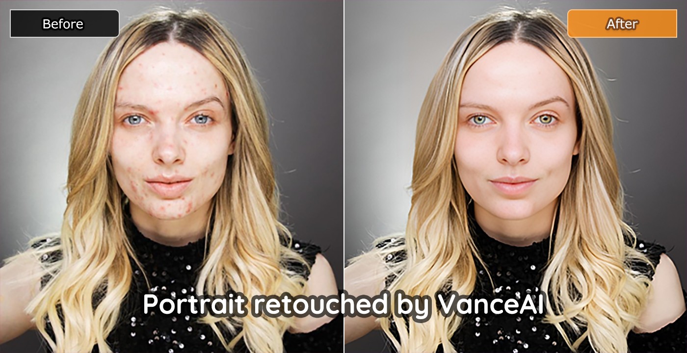 VanceAI Portrait Retoucher.