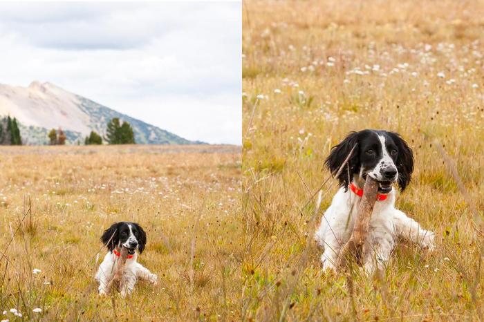 Super Resolution | Boost image quality to the max | Adobe