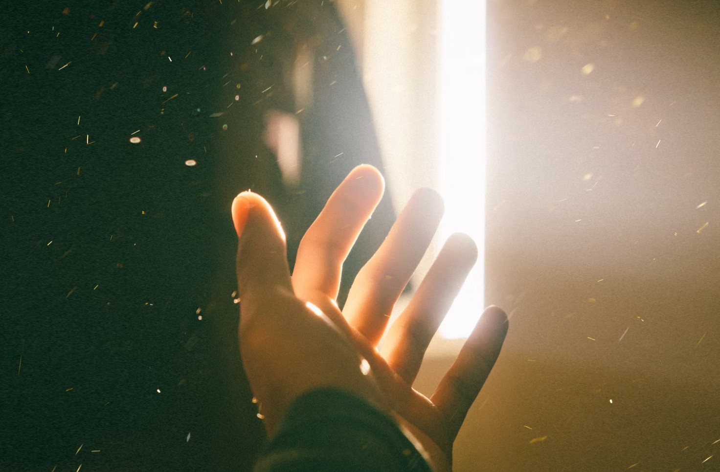 good lighting for indoor photography