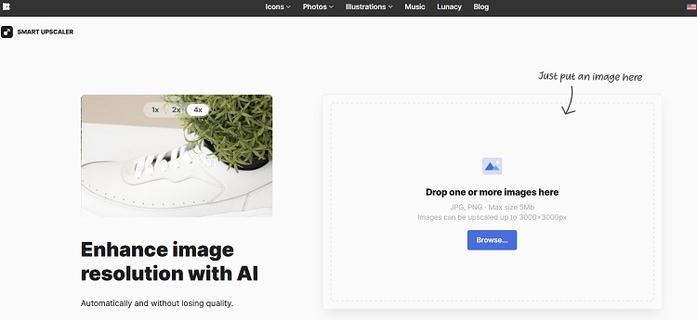 Step 1: Open the website.