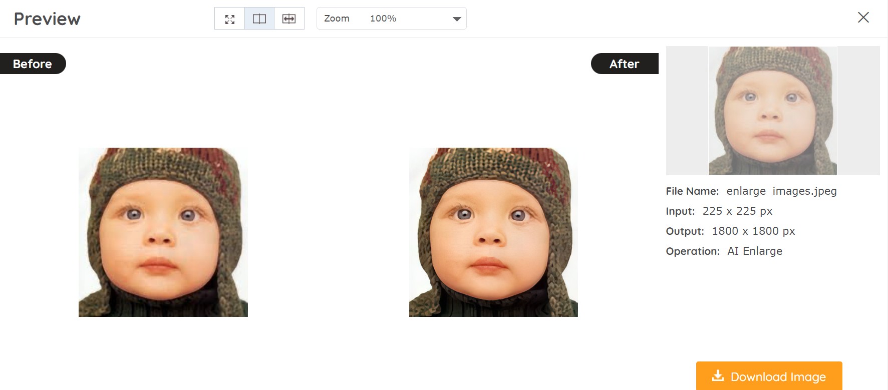 Download Your Enlarged Image