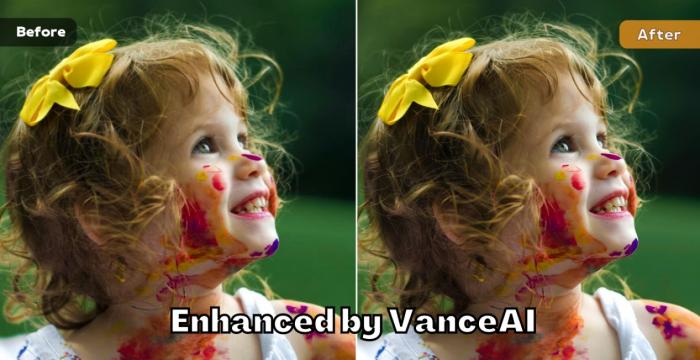 VanceAI Image Enhancer 700-360@2