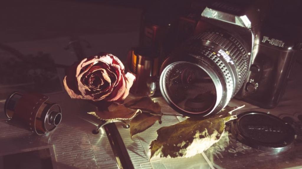 5 Selective Tools to Apply Vintage Filter 2024