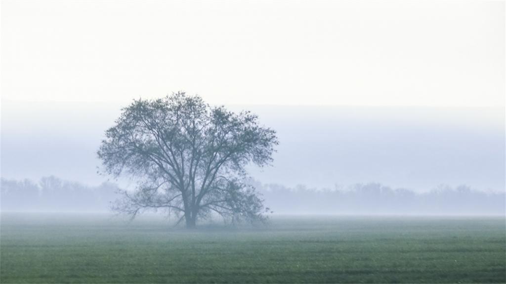 Best 5 Fog Photography Tips for Beginners