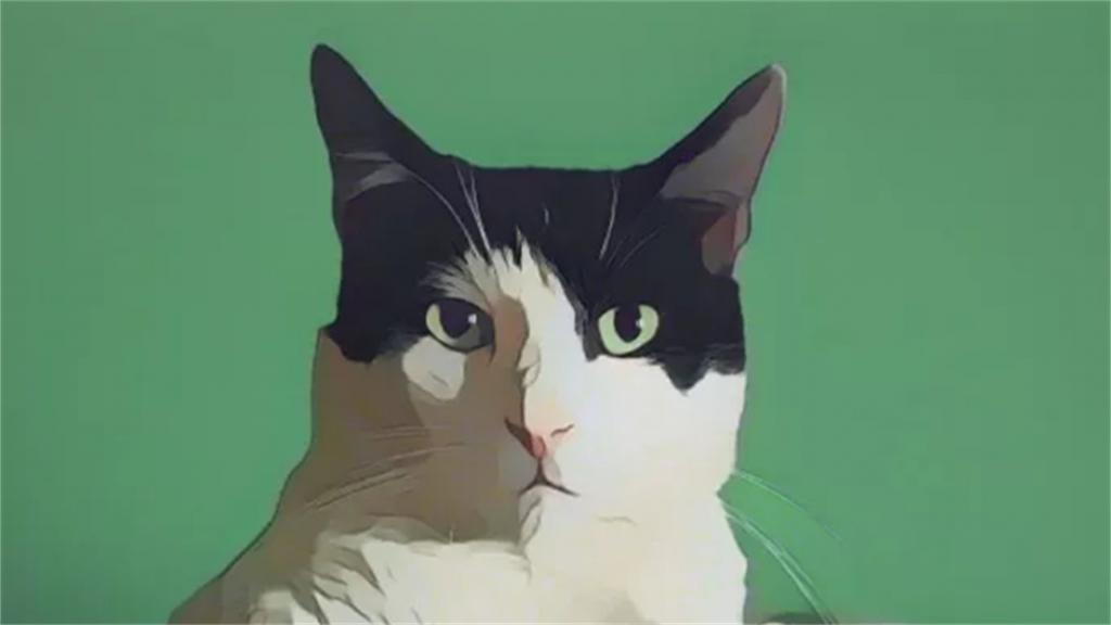 Top 10 Cartoon Generators