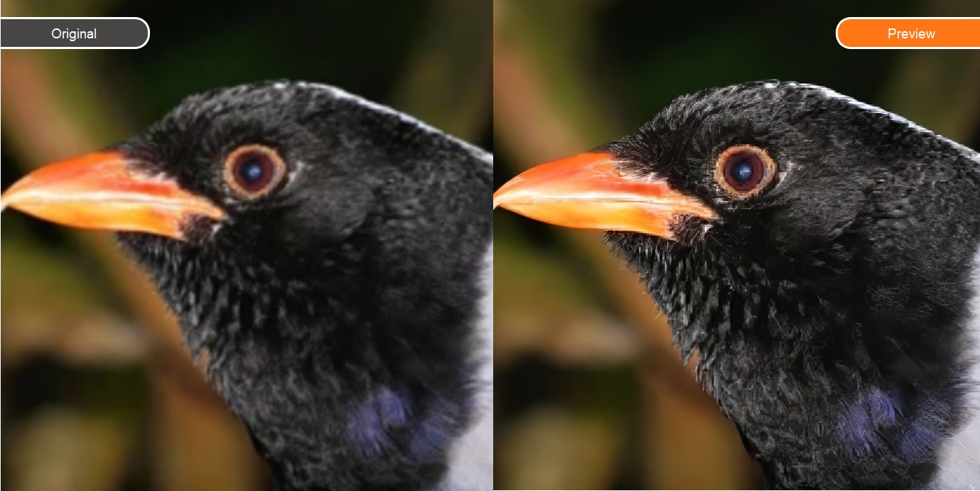 before-after comparison