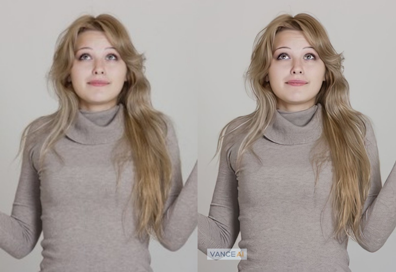 VanceAI Image enhancer preview