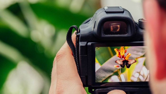 Storytelling Photography Ideas