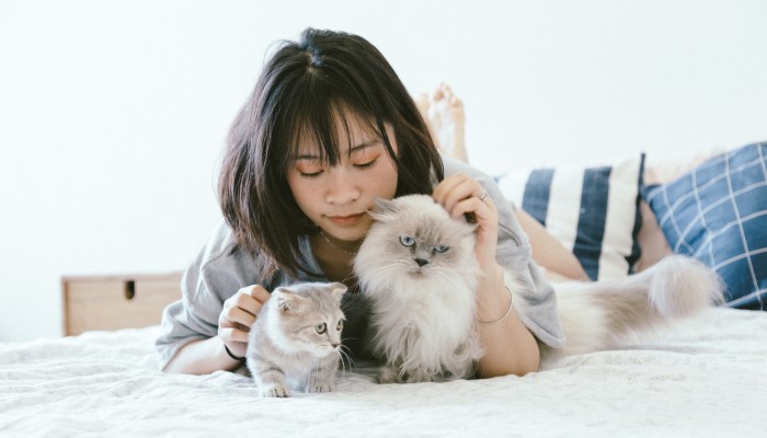 images of pets