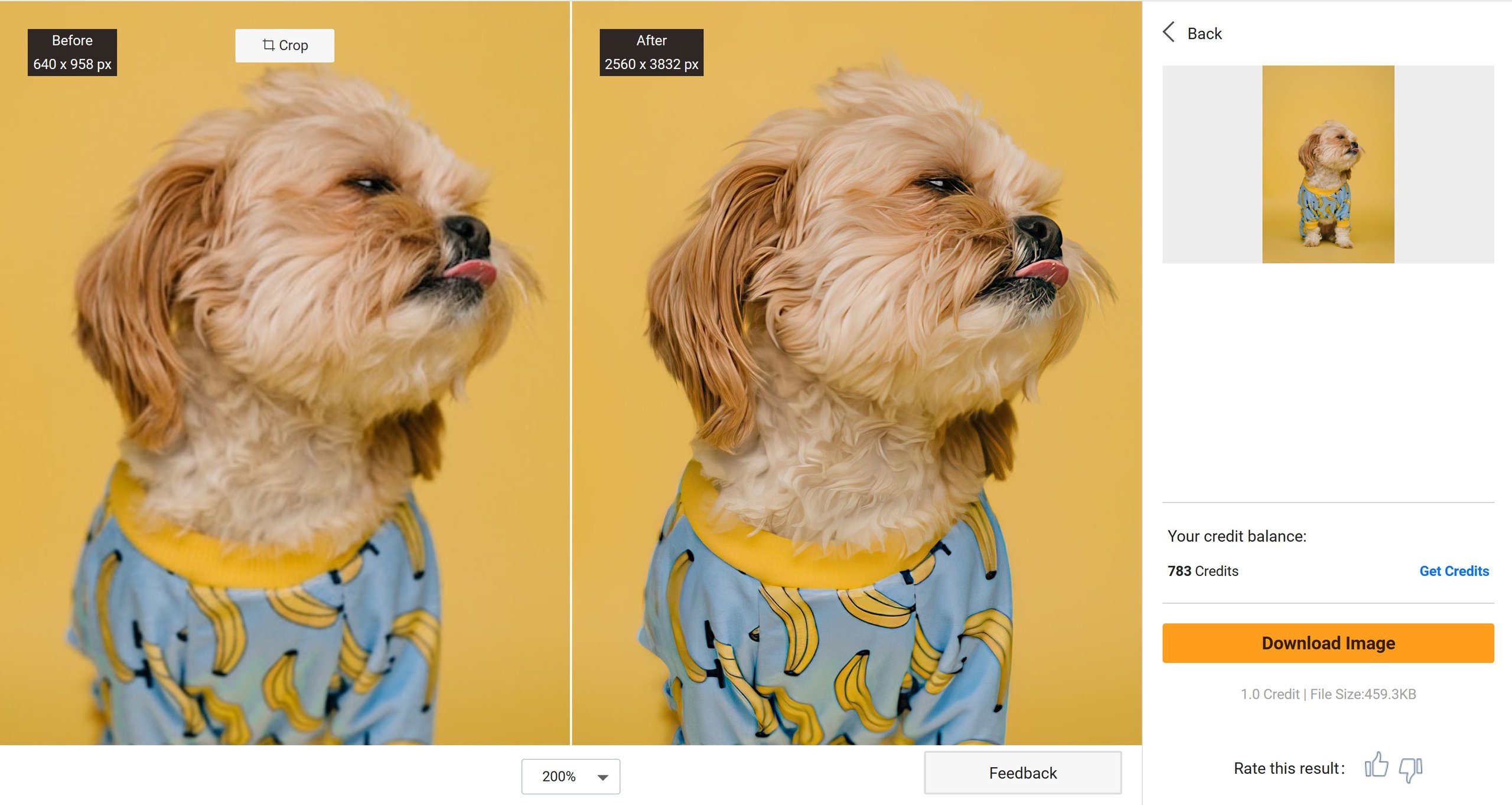 preview of using VanceAI Image Generator