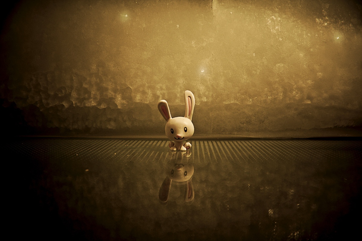 Animation