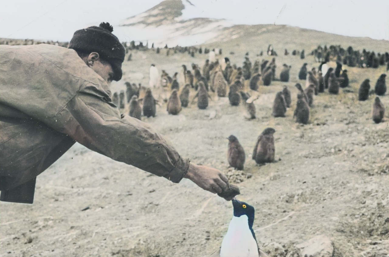 Black and White Footage Colored