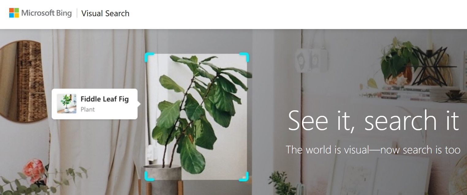 Bing AI image search