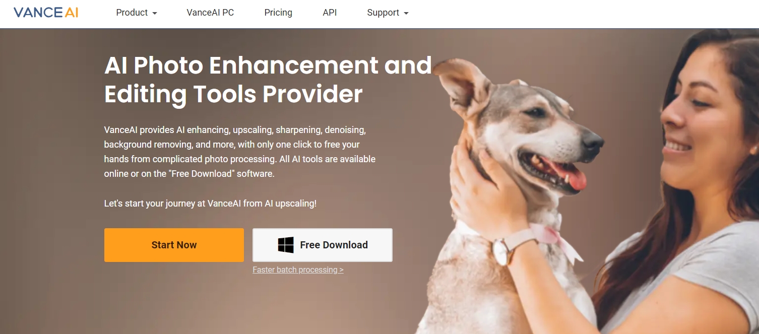 Vance AI homepage