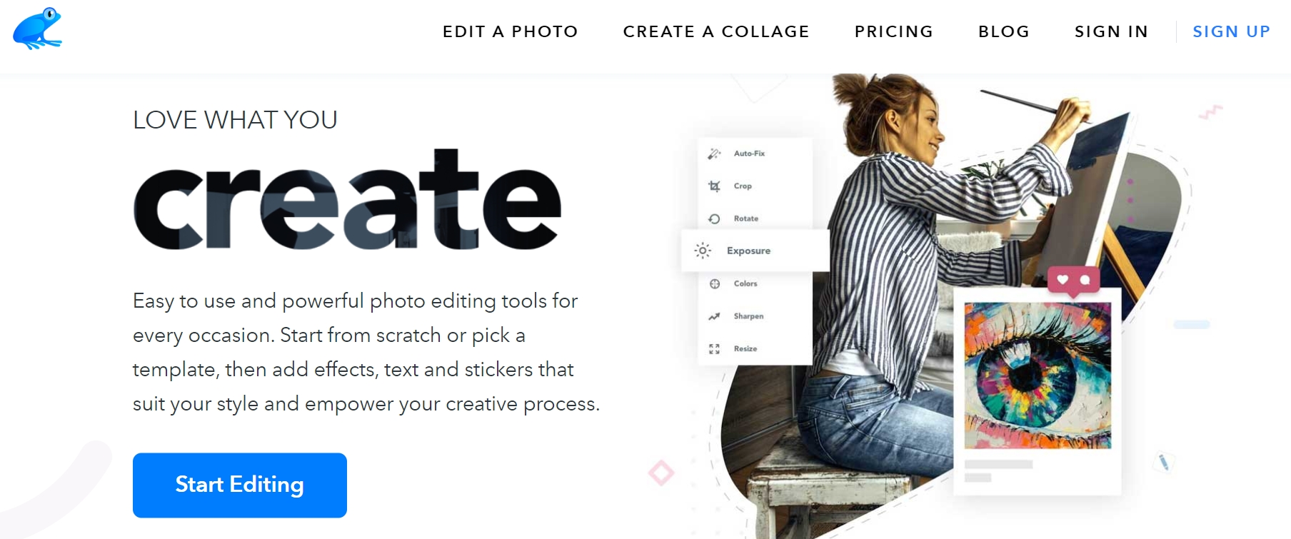 ribbet photo editor
