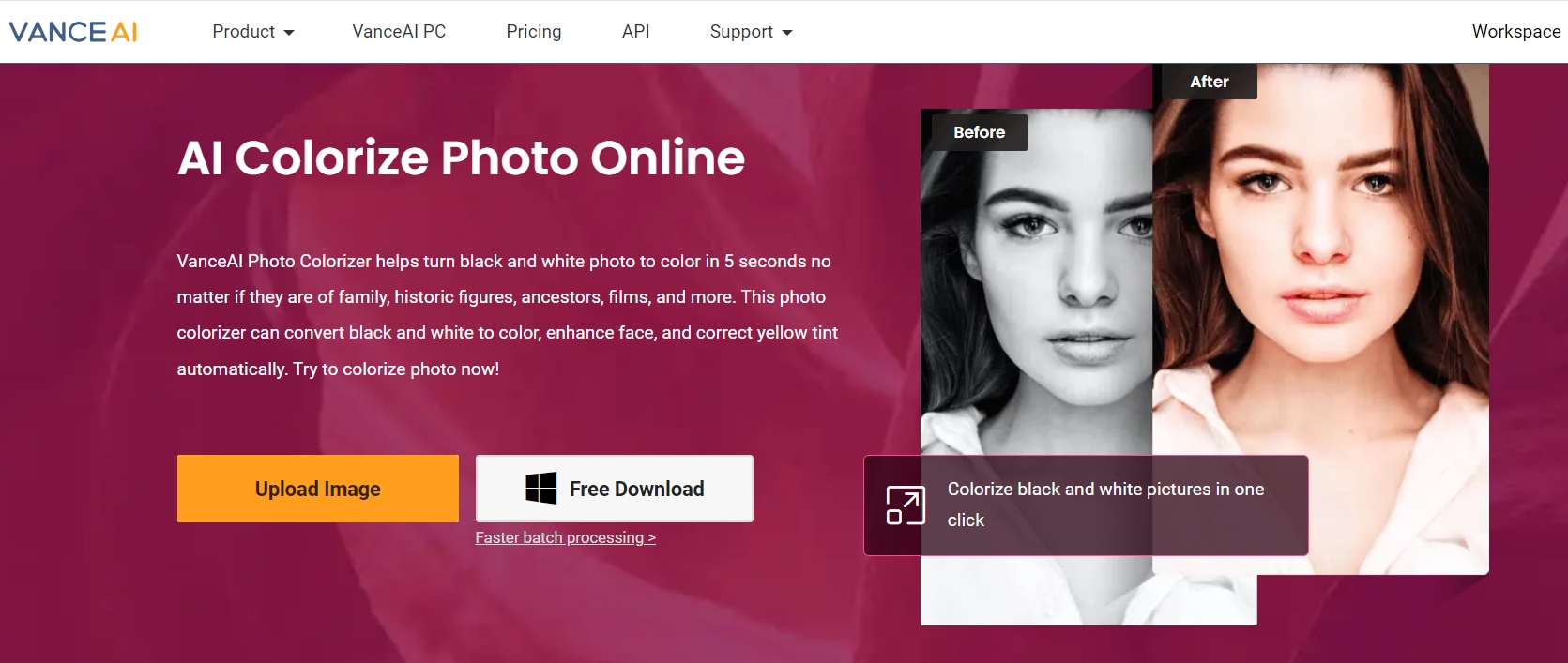 ai colorize homepage