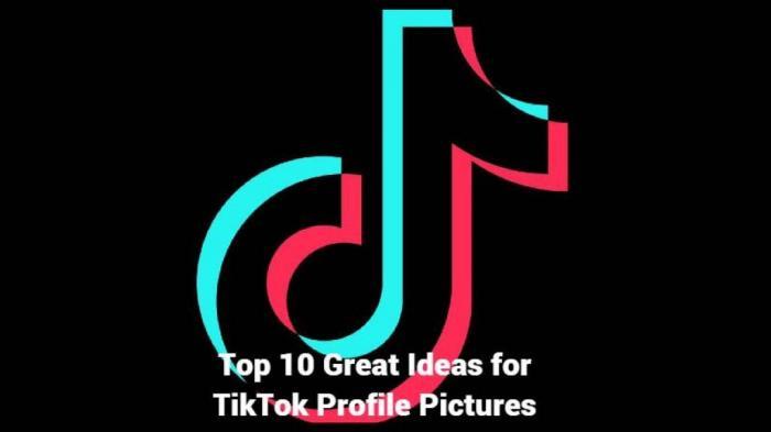 Top 10 Great Ideas for TikTok Profile Pictures