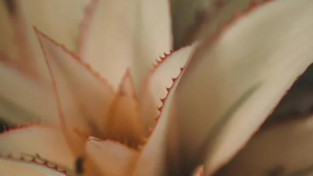 How to Unblur A Video with Capcut?