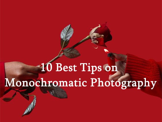 10 Best Tips on Monochromatic Photography