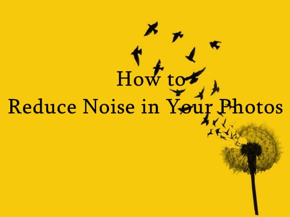 How to Reduce Noise in Your Photos (2024 Guide)
