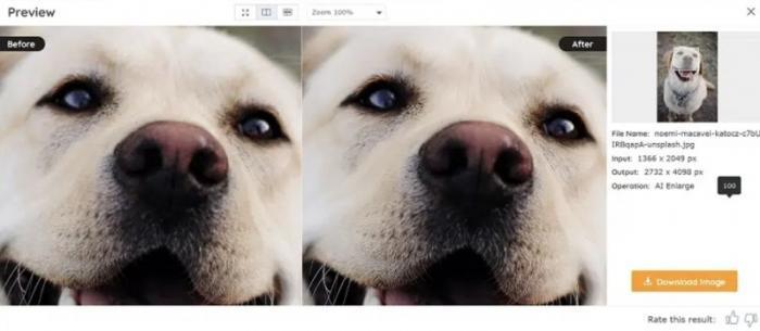 AI Image Enlarger