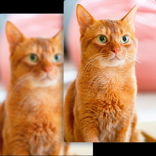 How to Sharpen an Image in Photoshop