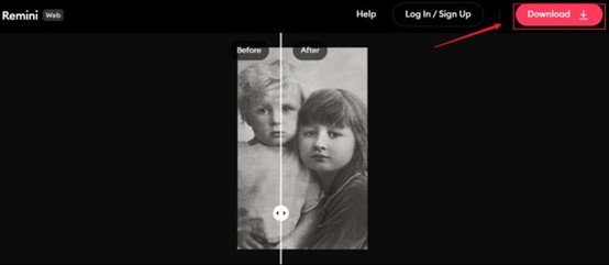 Remini comparison