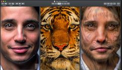 16823969885759159-Face%20morph_.jpg